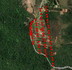 Acompanhamento de desmatamento